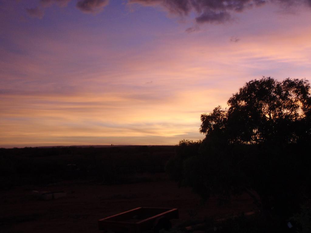 Ningaloo Bed And Breakfast 엑스머스 외부 사진